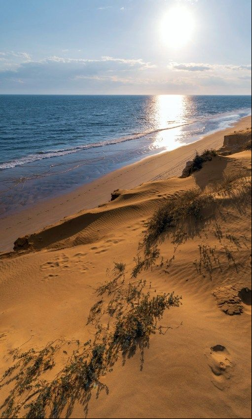 playa de matalascanas huelva
