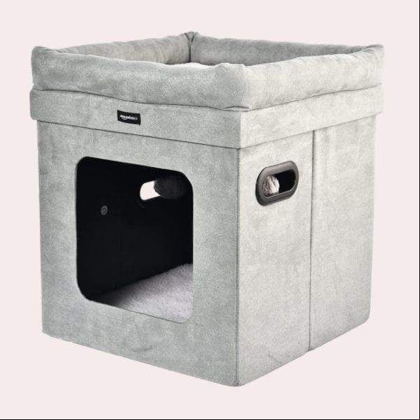 casa gato
