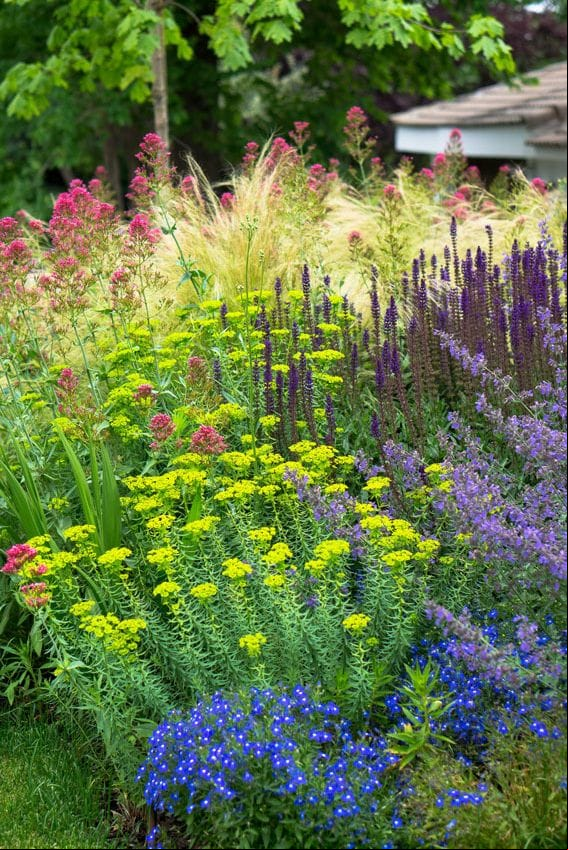 plantas incompatibles jardin jardineras macetones hola decoracion 01