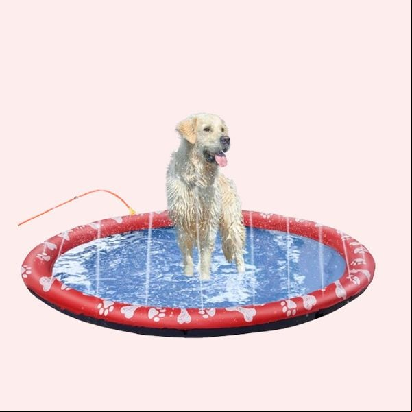 PawHut Splash Pad 170 cm