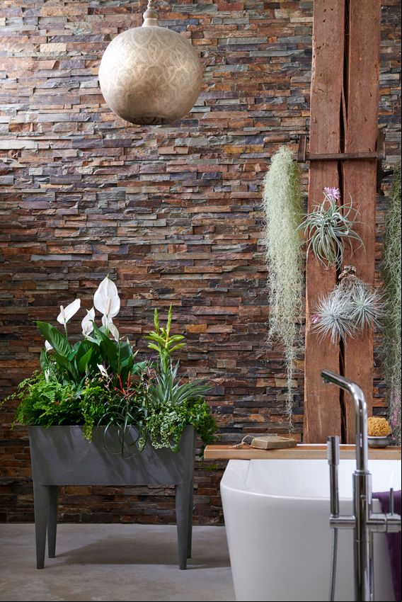 plantas incompatibles jardin jardineras macetones hola decoracion 07