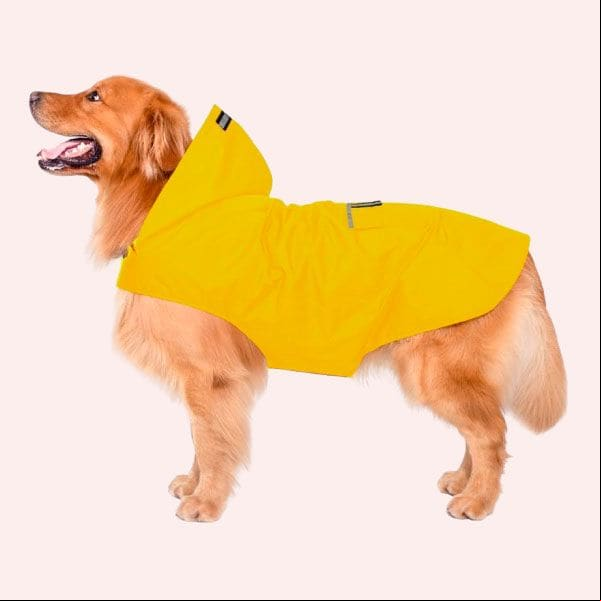 EL MEJOR IMPERMEABLE PARA PERROS EN AMAZON