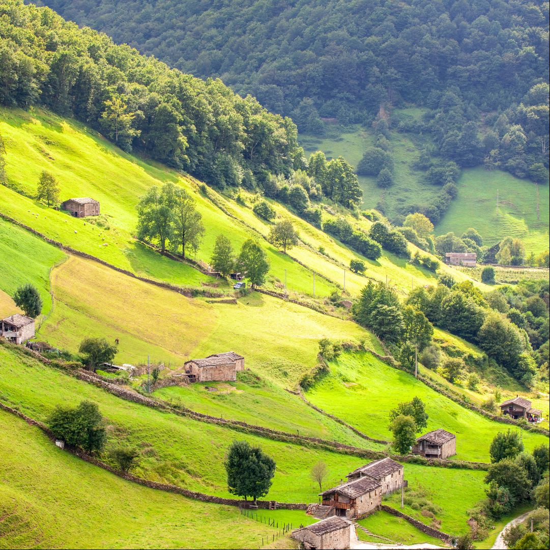 Valles Pasiegos junto a Vega de Pas, Cantabria